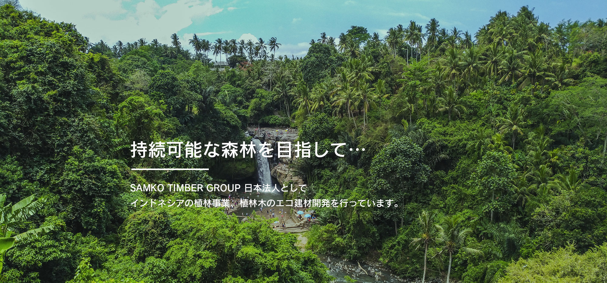持続可能な森林を目指して…SAMKO TIMBER GROUP 日本法人としてインドネシアの植林事業、植林木のエコ建材開発を行っています。